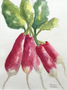 Radishes 8 x 10