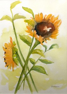 Sunflowers 11 x 14
